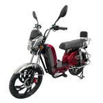 Factory direct sales of electric vehicles with a large guard bar, front and rear oil discs of the same color, CG tailframe, backrest and LED taillights